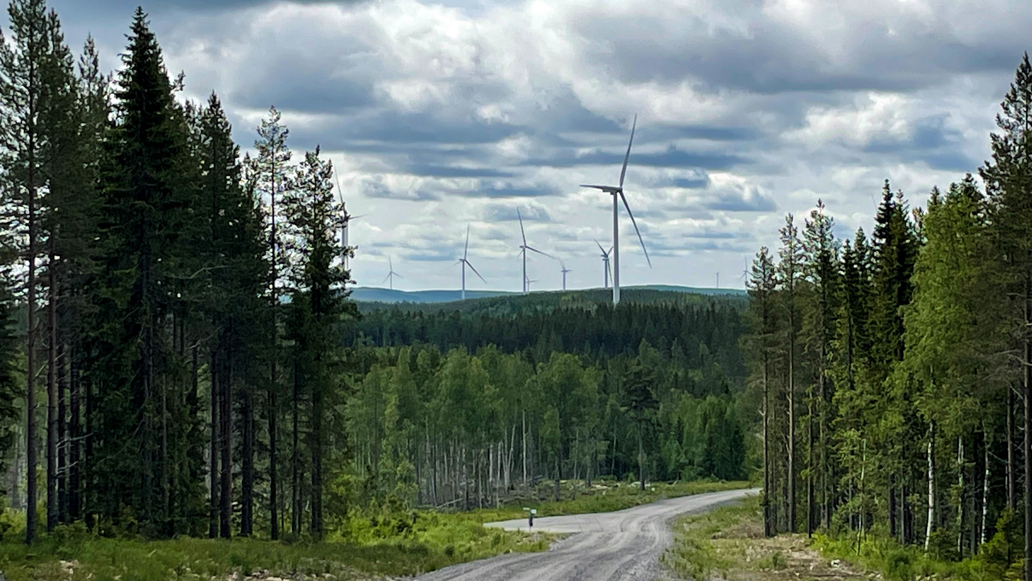 skogslandskap med vindkraftverk