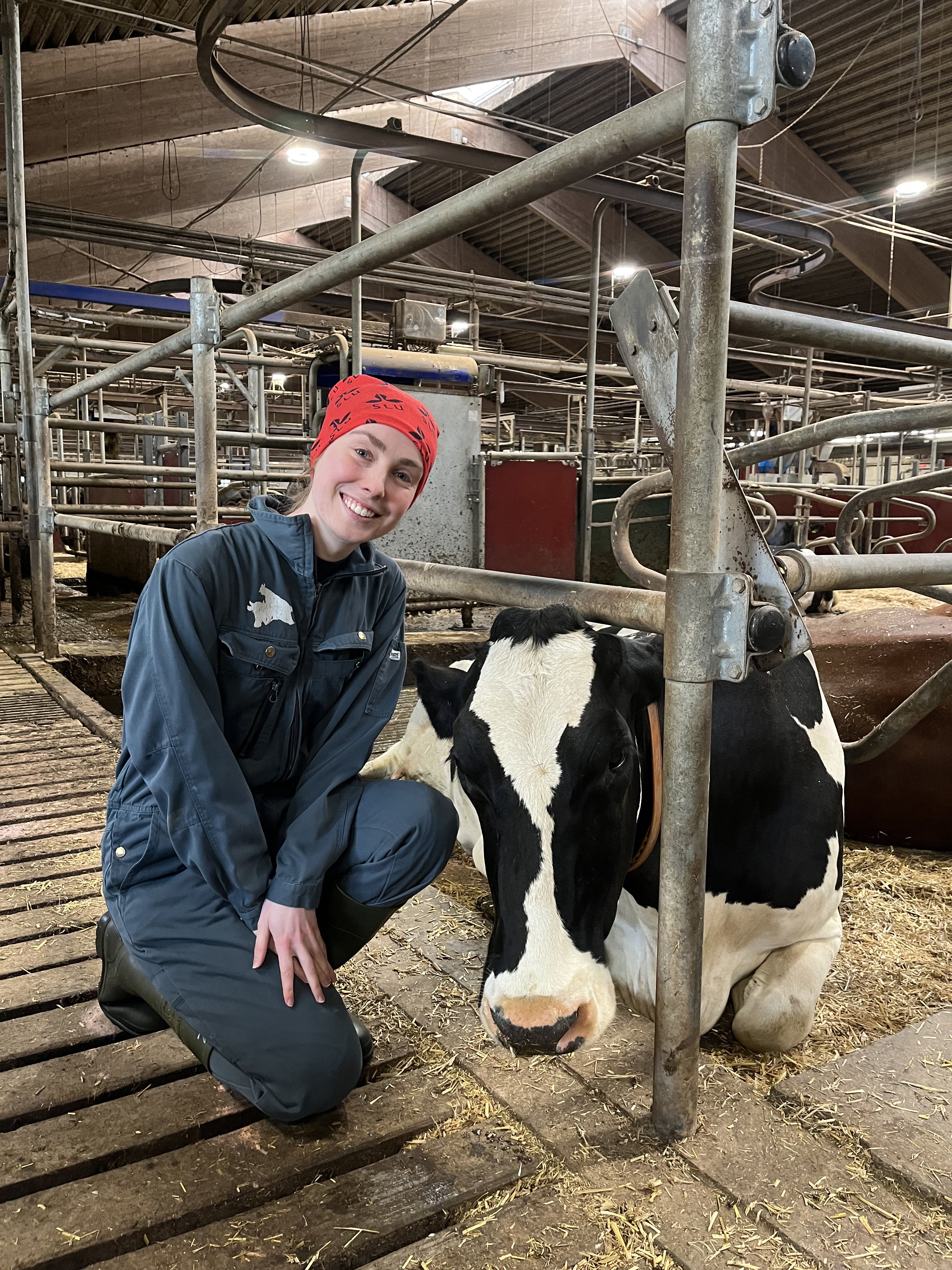 Porträttfoto av Karin Berggren