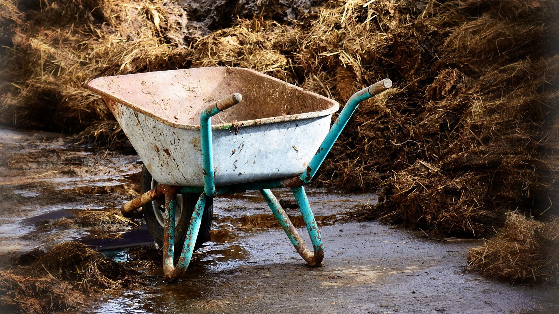 Gammal skottkärra vid gödsel. Foto: Pixabay