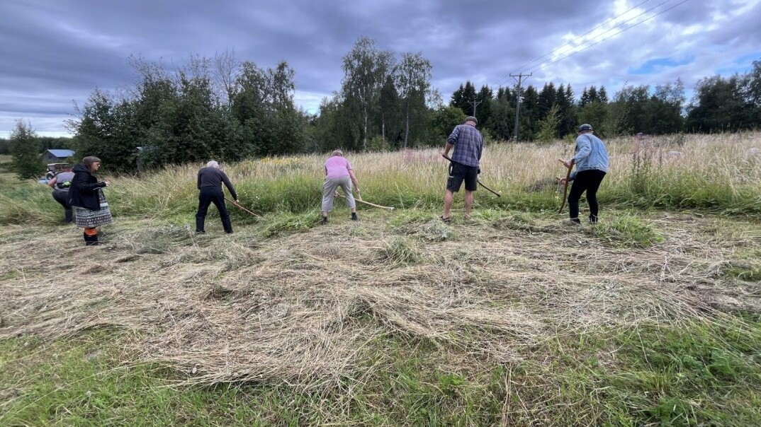 People mowing grass with scythes in a meadow during a field excursion as part of the REGGAE project.