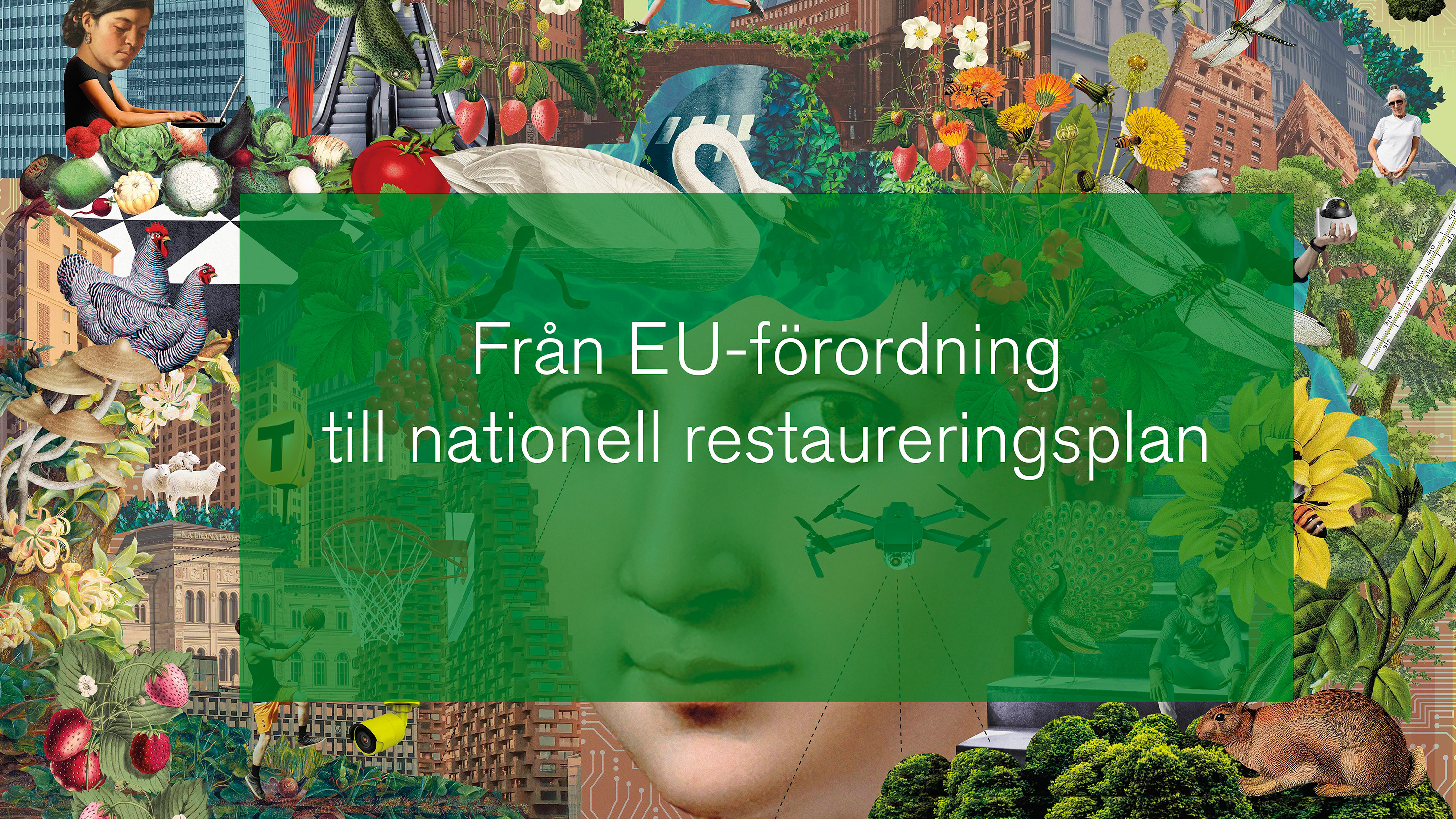 Illustration av stadslandskap.