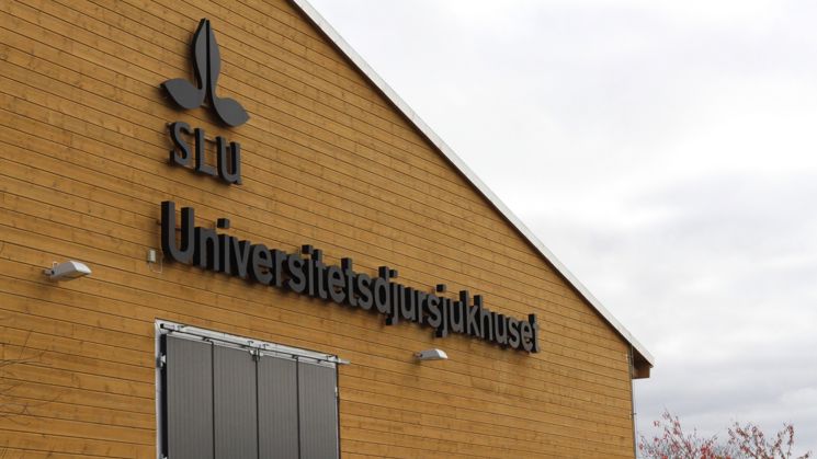 Skylt med texten SLU Universitetsdjursjukhuset