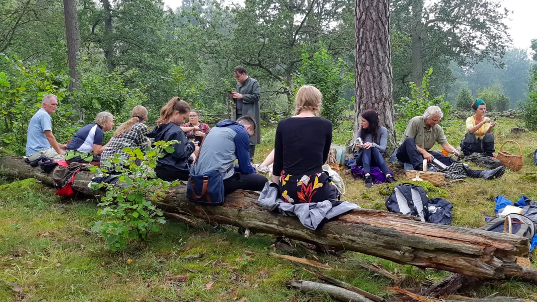 Many people are sitting in the forest. Photo.