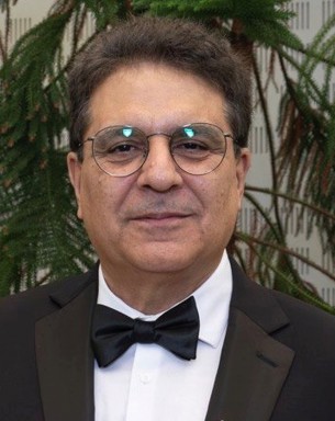 Portrait photo of Mehrdad Arshadi