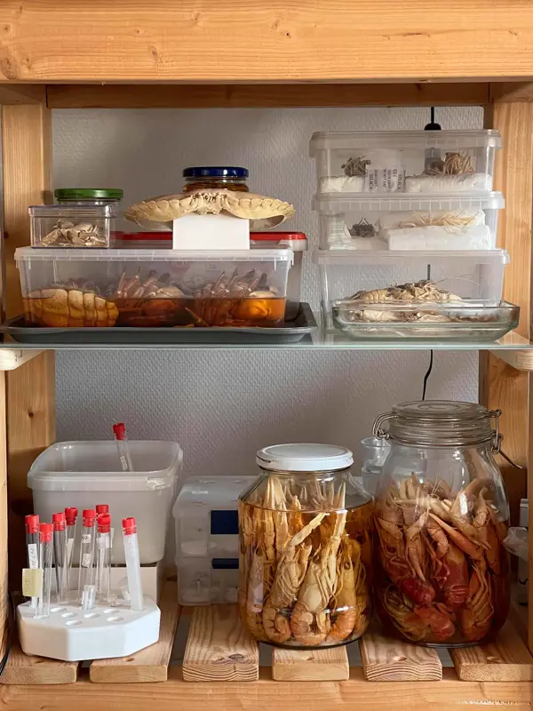 En trähylla med olika glasburkar och provrör.Foto