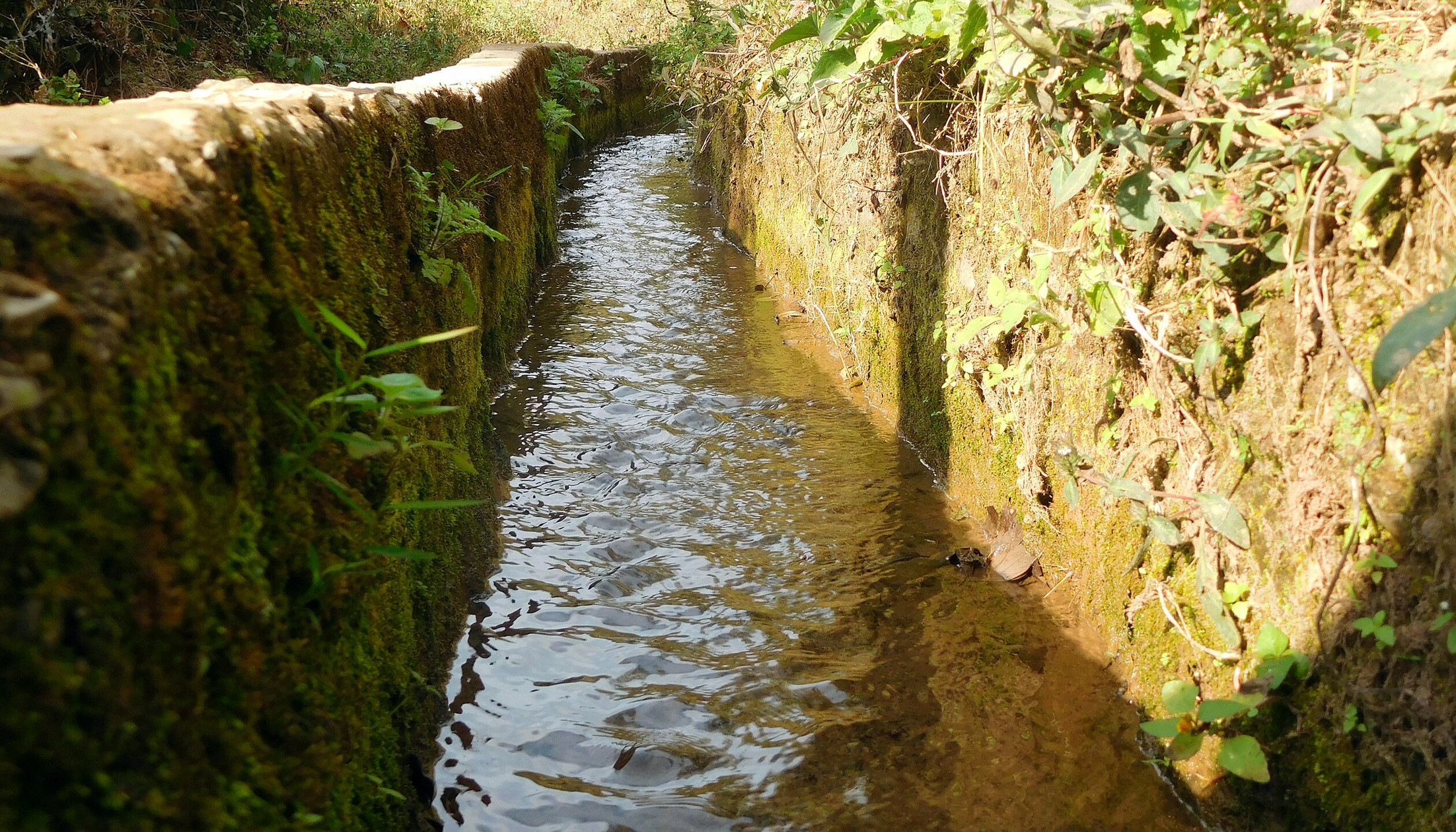 A digged canal
