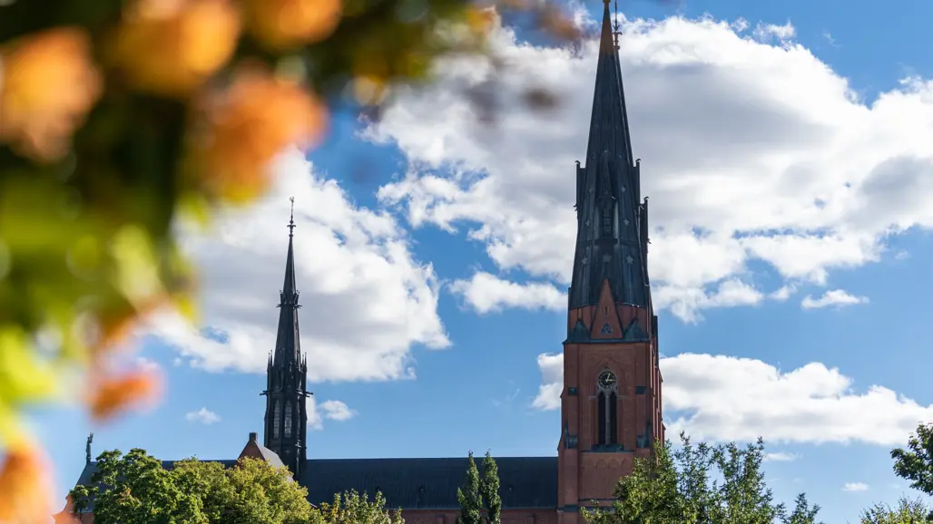 Bild på domkrykan i Uppsala.