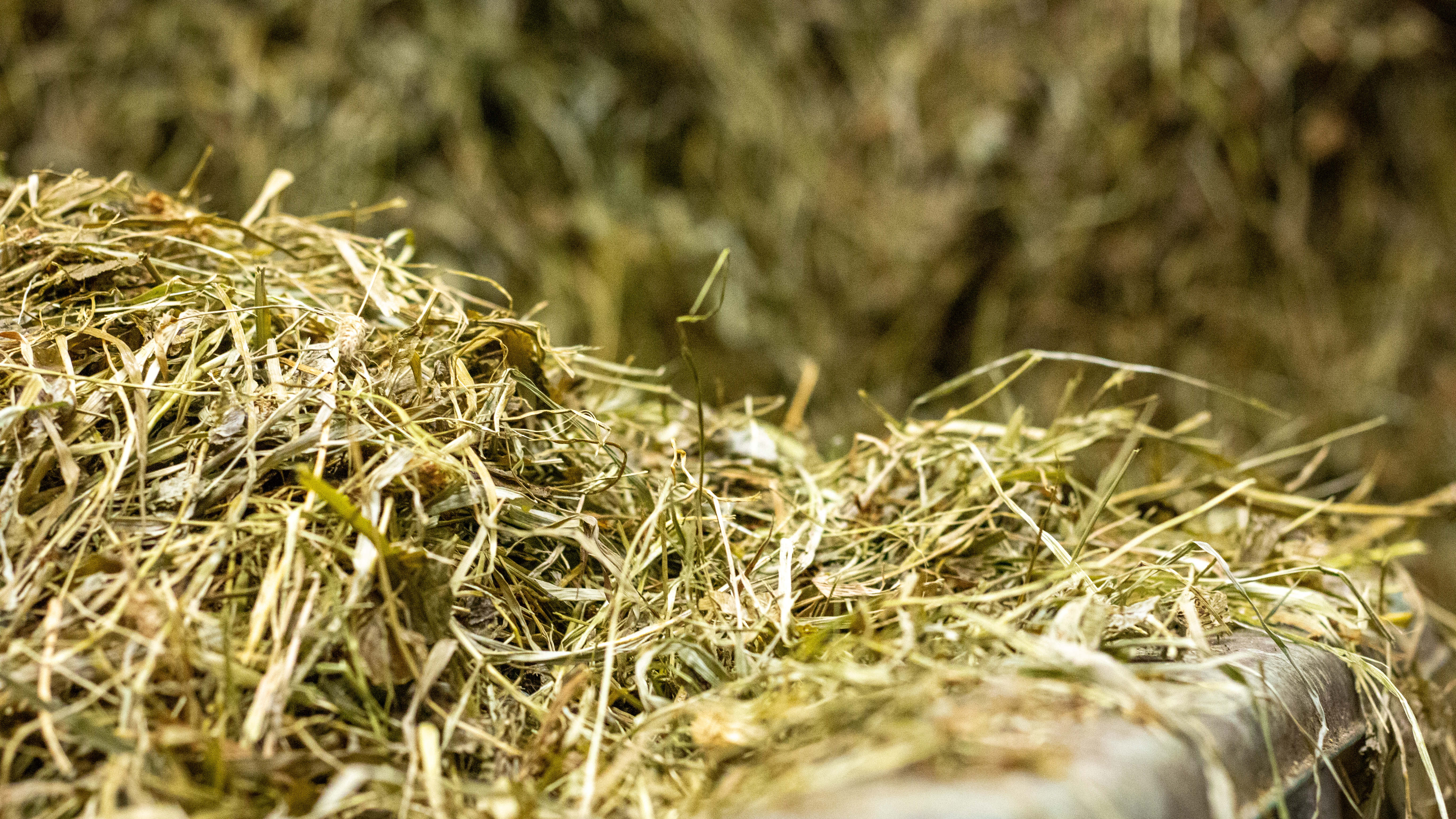 Foto av hösilage.
