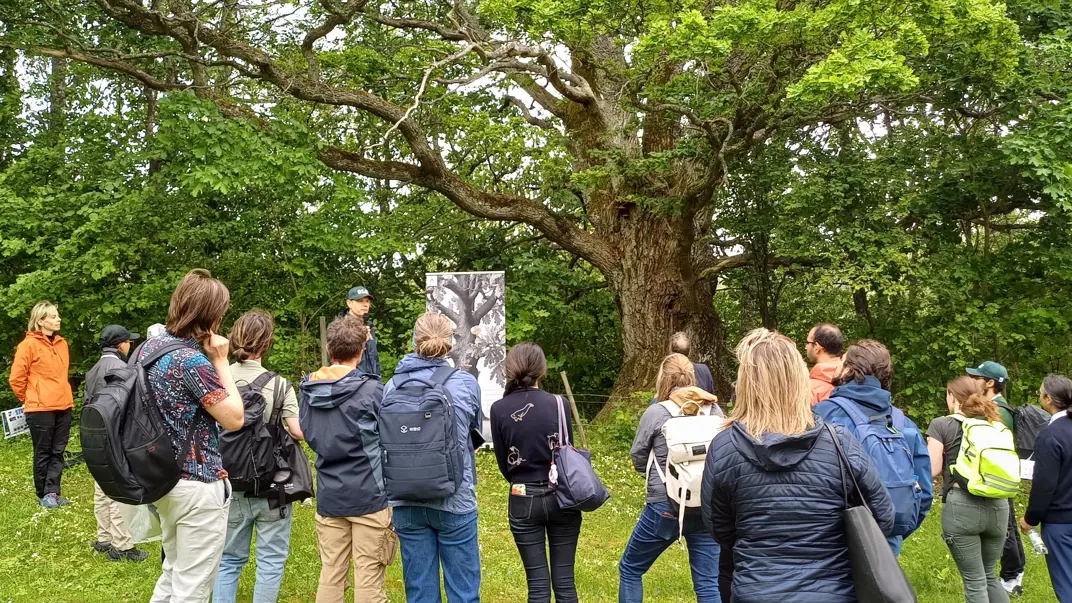 Group of people beside trees.