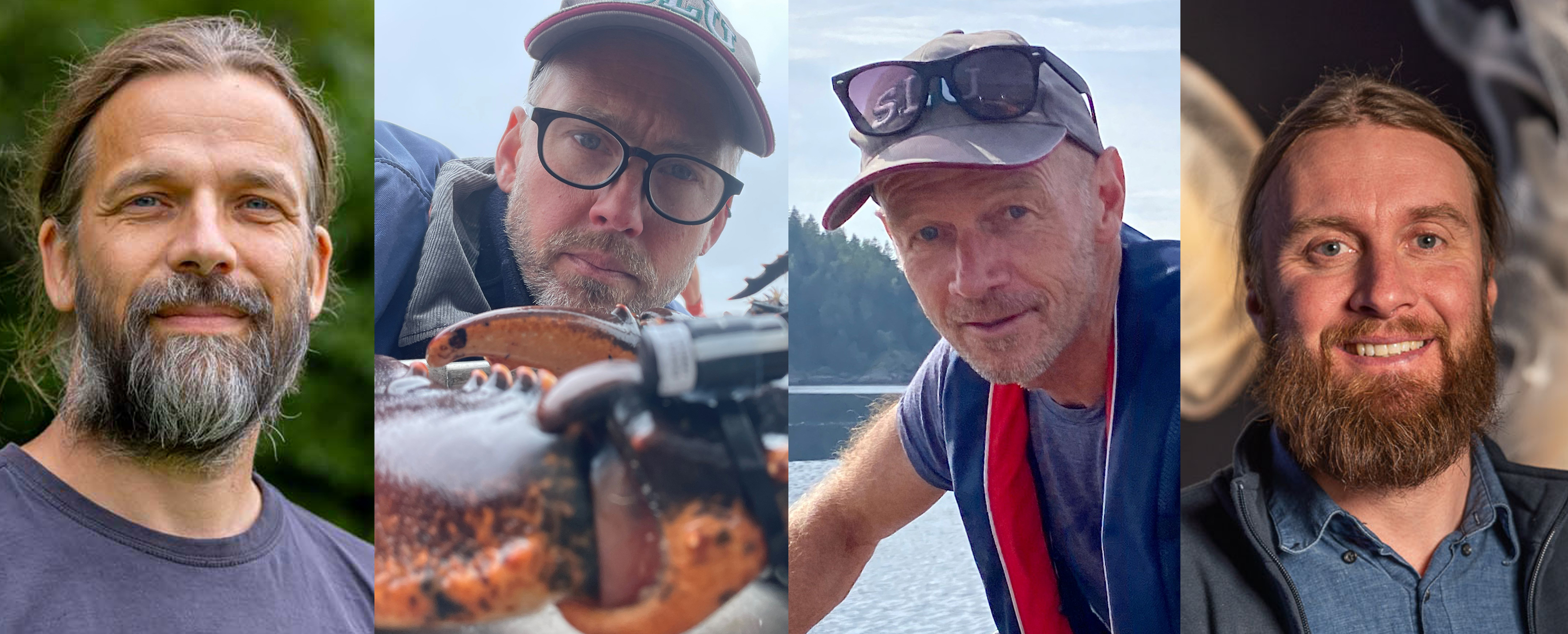 Från vänster: Henrik Thurfjell, Andreas Sundelöf, Håkan Wennhage och Jens Olsson har utnämnts som seniora miljöanalysspecialister vid SLU. Foton.