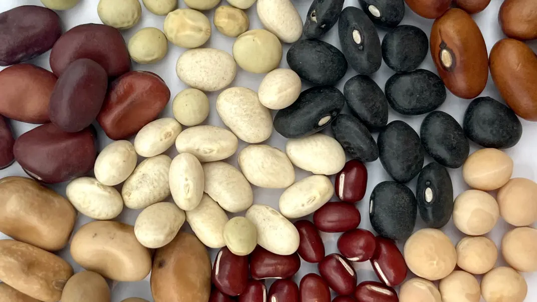 Peas and beans