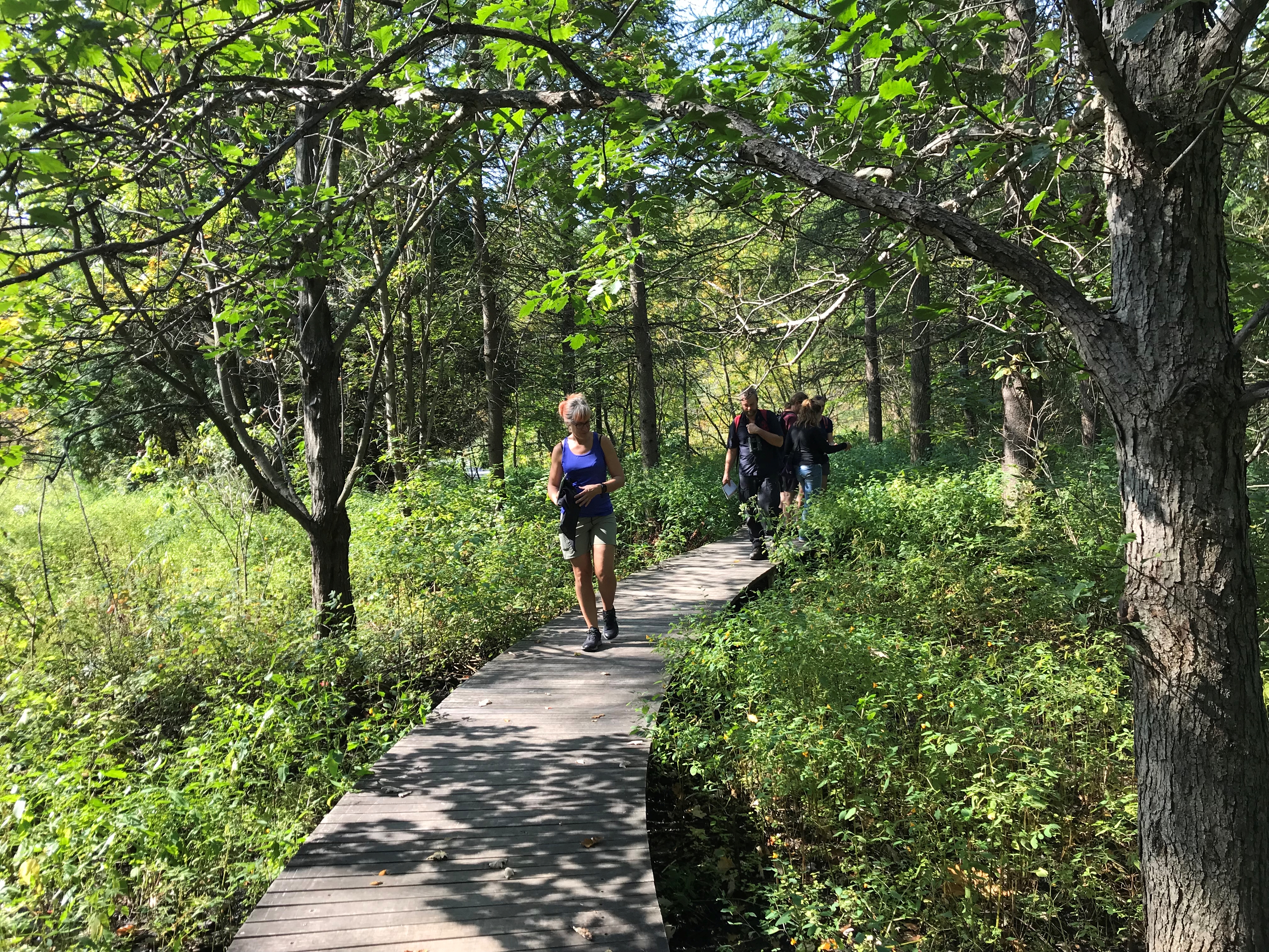 En person på en stig