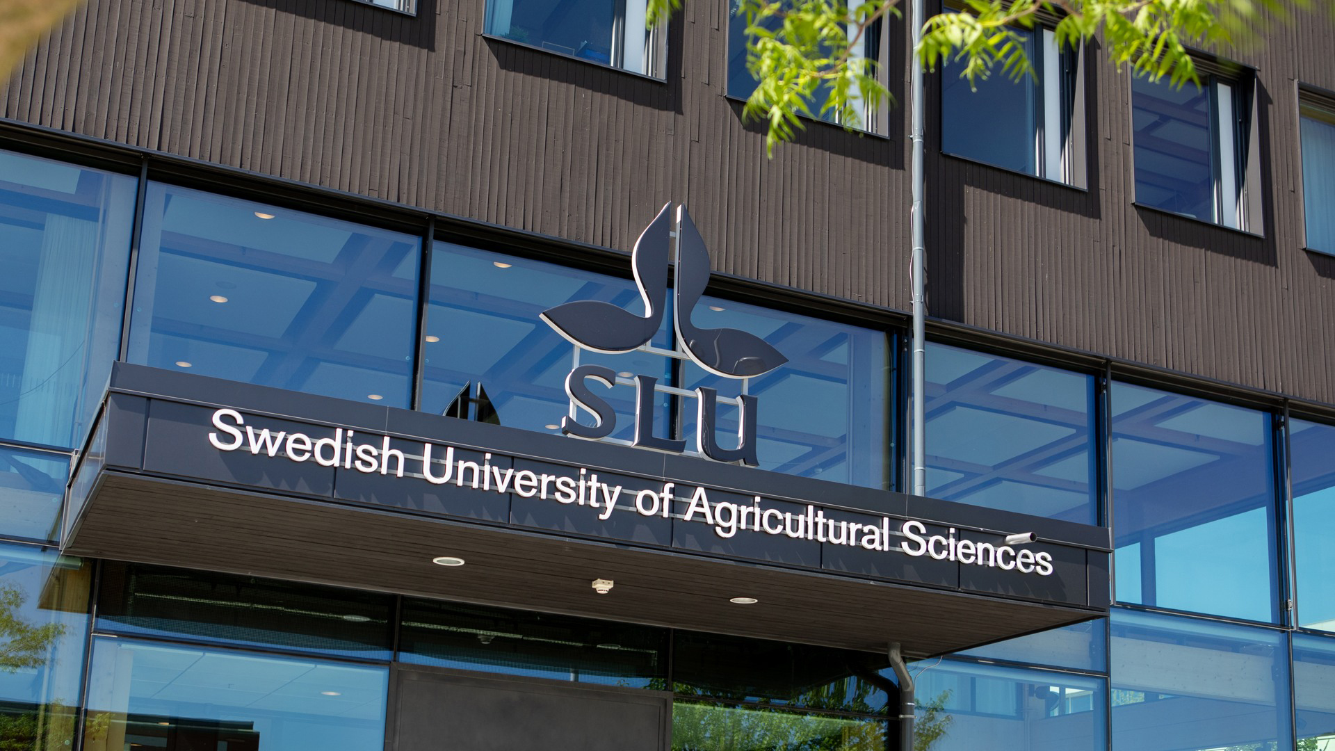 The main entrance at SLU Uppsala.
