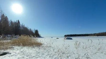 Havsvik i vintersol