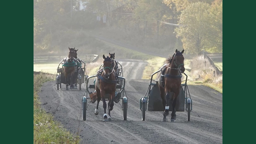 Foto av travhästar som springer på travbana med sulky och kusk bakom.