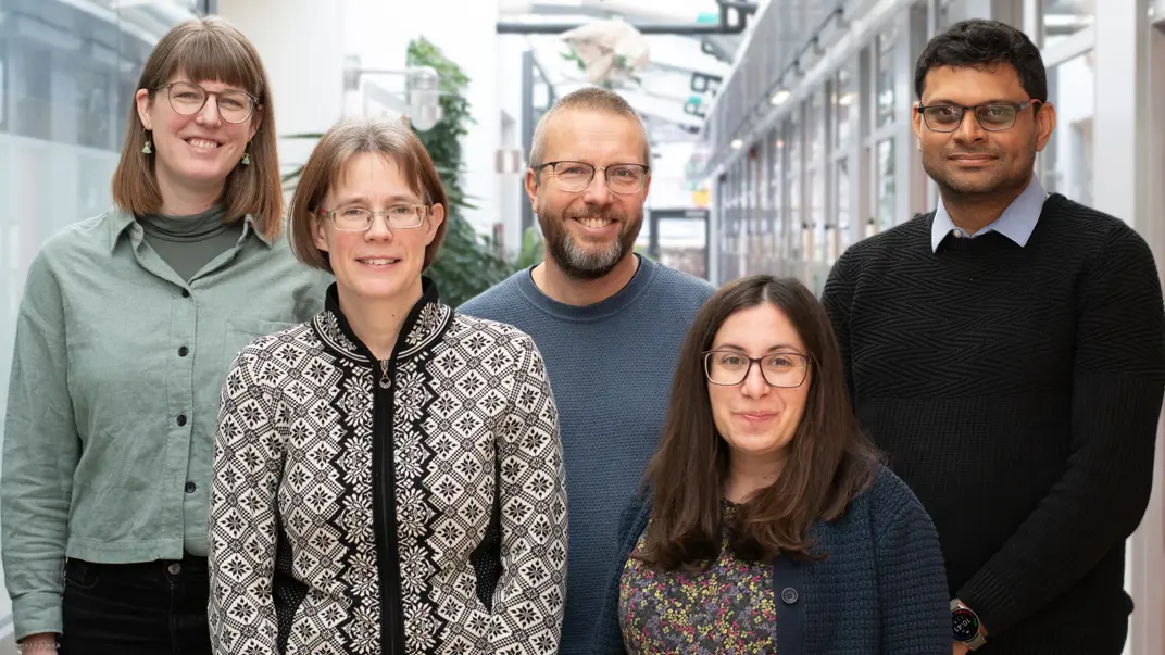 Five people looking into the camera. Photo.
