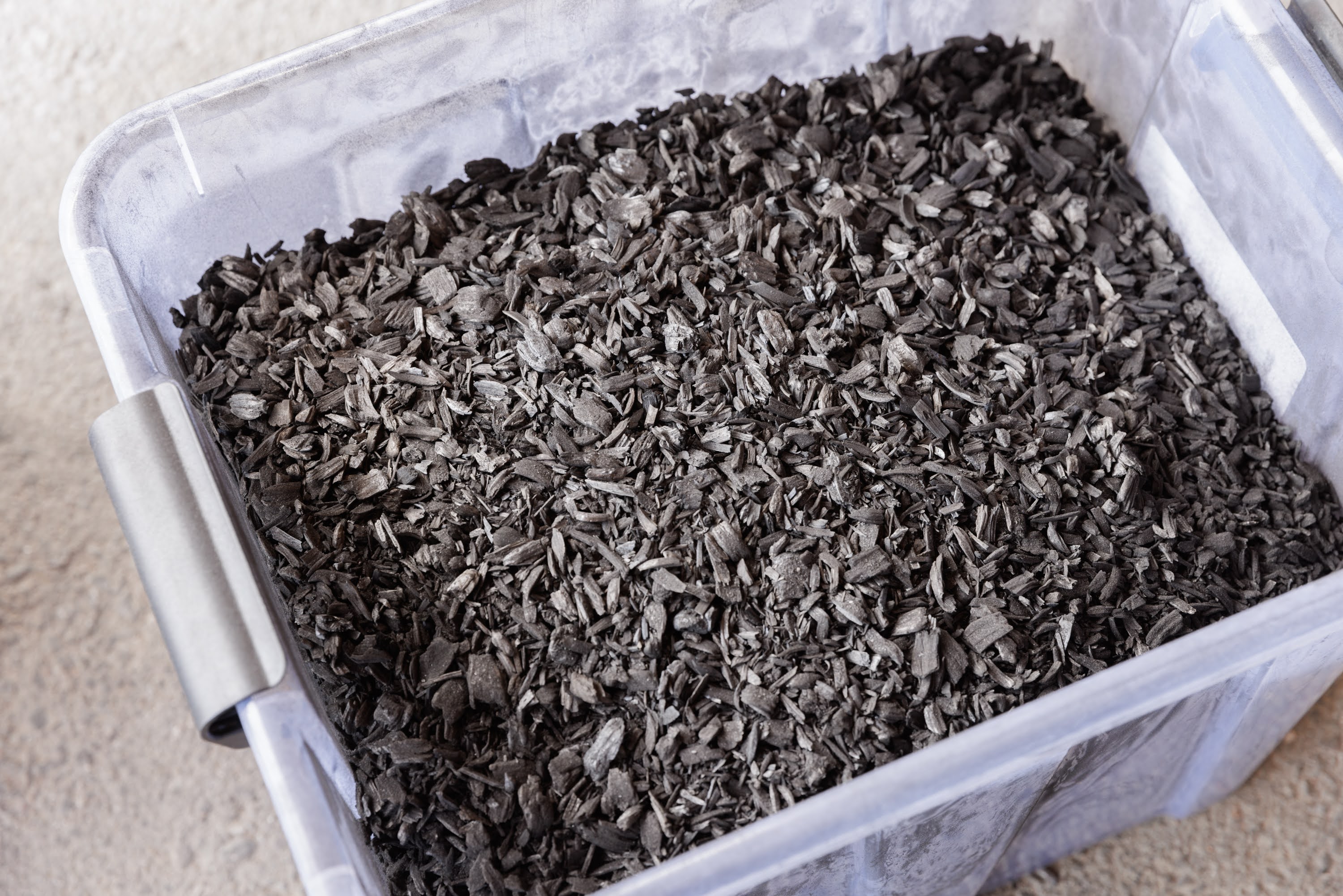 A plastic box filled with biochar prepared in the lab.