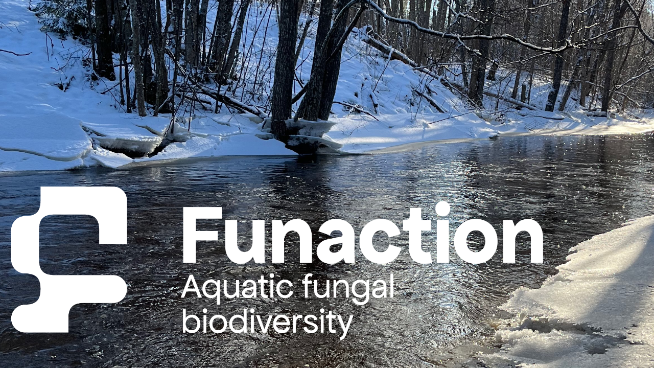Bakgrund: En liten bäck på vintern med snötäckta vallar. Förgrund: En stiliserad F-logotyp med texten Funaction Aquatic fungal biodiversity. Logotyp och text i vitt.