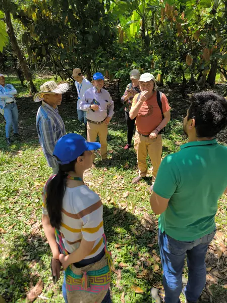 Visit of cocoa plantation in Palmira Sur, Colombia. Photo: Isabelle Vagneron