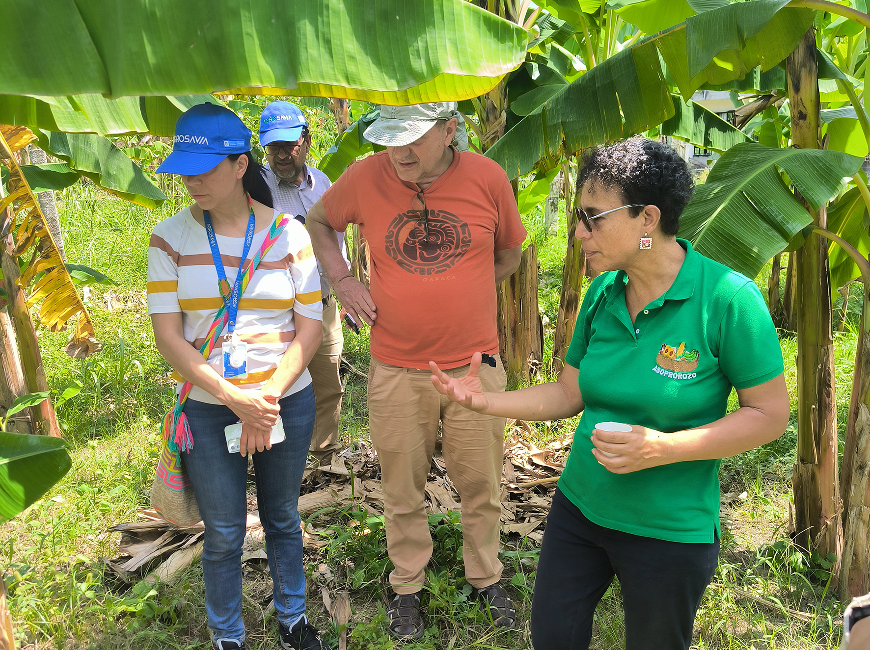 Participatory action research group visiting the Villa Andrea cocoa plantation in Palmira Sur, Colombia. Photo: Isabelle Vagneron