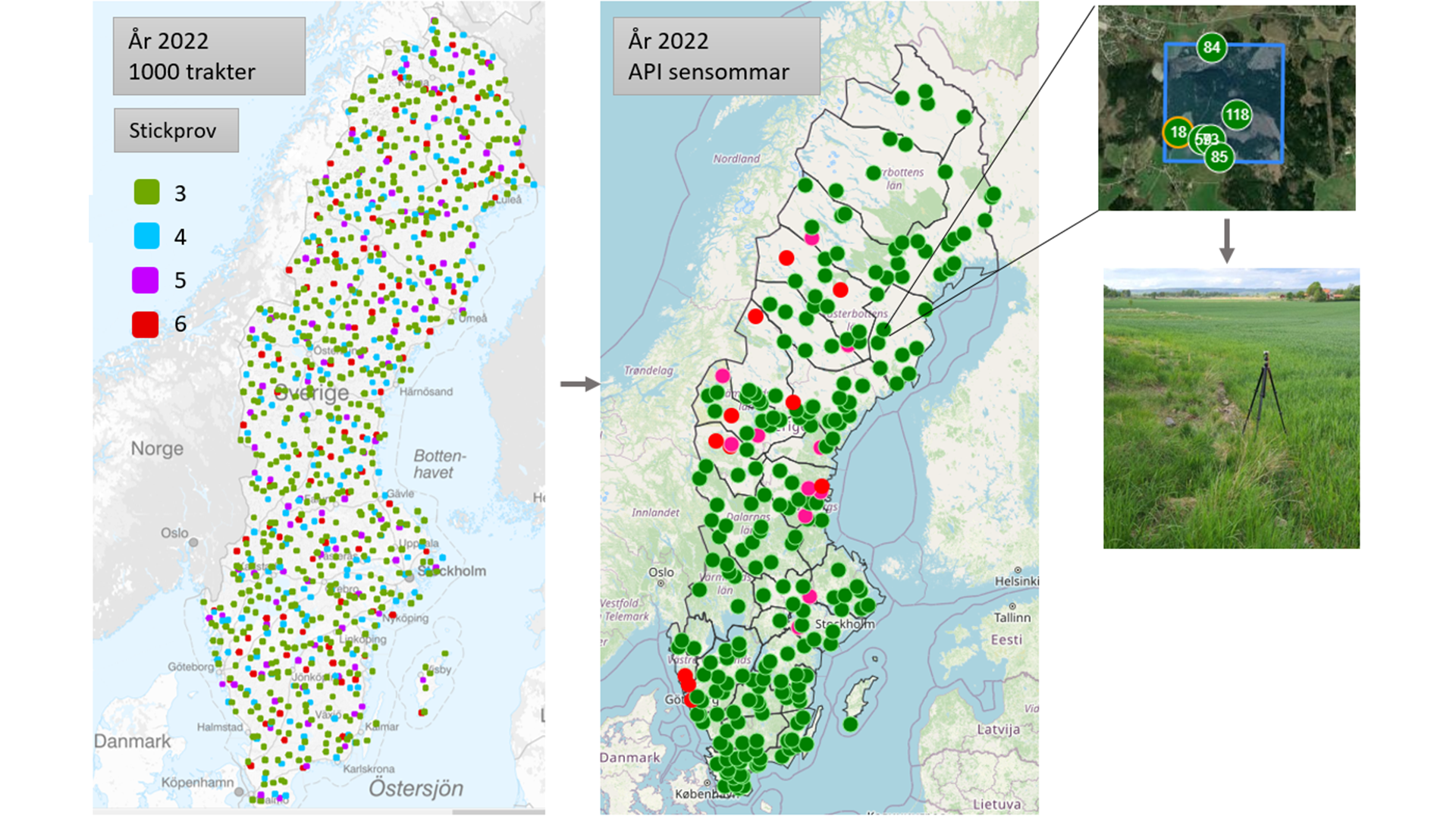 Bild 1. Bilden visar dels urvalet från start, och sedan den statusportal (API) som används för att fördela beting och ta emot registrerat data vid fältinventeringen. Gröna prickar är färdiga trakter och röda är ännu inte färdiginventerade. Uppe till höger syns en trakt med urvalet av provytor och under en av besökta provytorna.