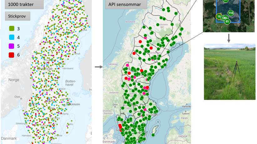 Bild 1. Bilden visar dels urvalet från start, och sedan den statusportal (API) som används för att fördela beting och ta emot registrerat data vid fältinventeringen. Gröna prickar är färdiga trakter och röda är ännu inte färdiginventerade. Uppe till höger syns en trakt med urvalet av provytor och under en av besökta provytorna.