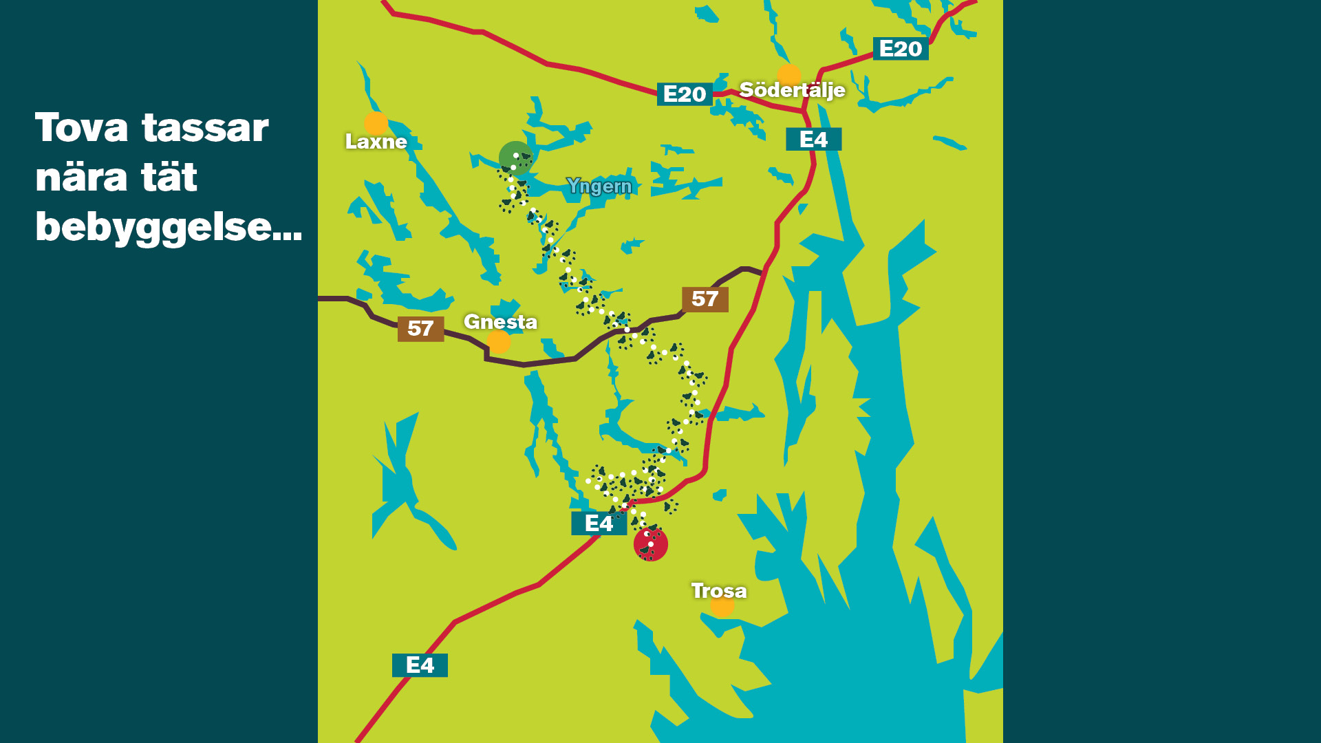 Stiliserad karta över del av mellansverige som visar ett lodjurs vandring under en vecka i september 2025. Illustration.