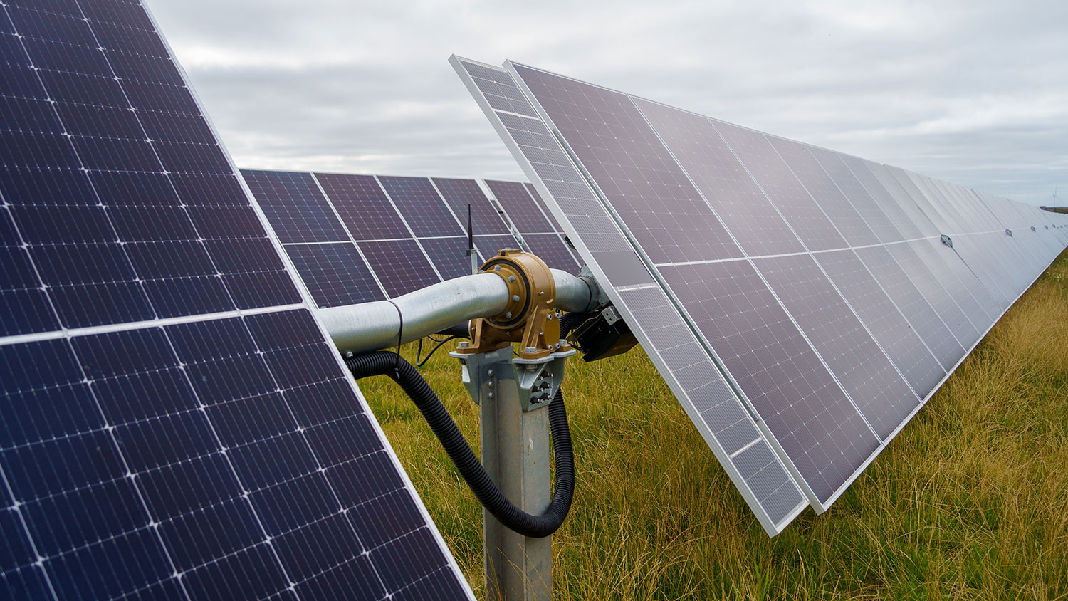 Solpaneler på gräsmark. Foto: Shutterstock.