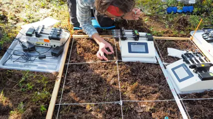 Forskare undersöker mark i skog med hjälp av mätutrustning.