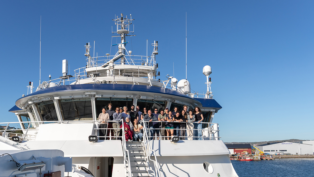 Group photo from Svea 