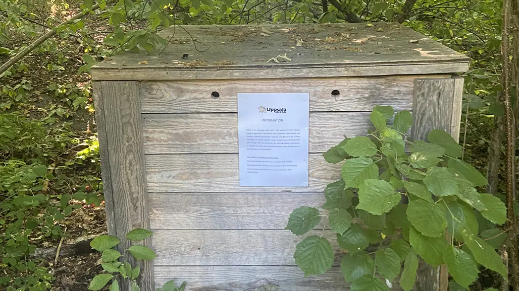 Låda bland träd