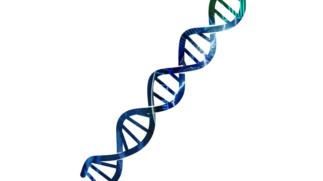 dna-molecule