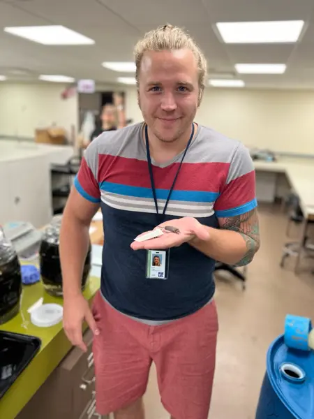 Man håller håller ut sin handflata där det ligger en liten mus.