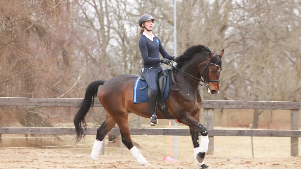 Photo of dressage team (horse and rider) riding together.