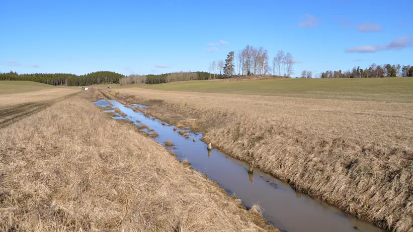 Ditch surrounded by farmland. Photo.