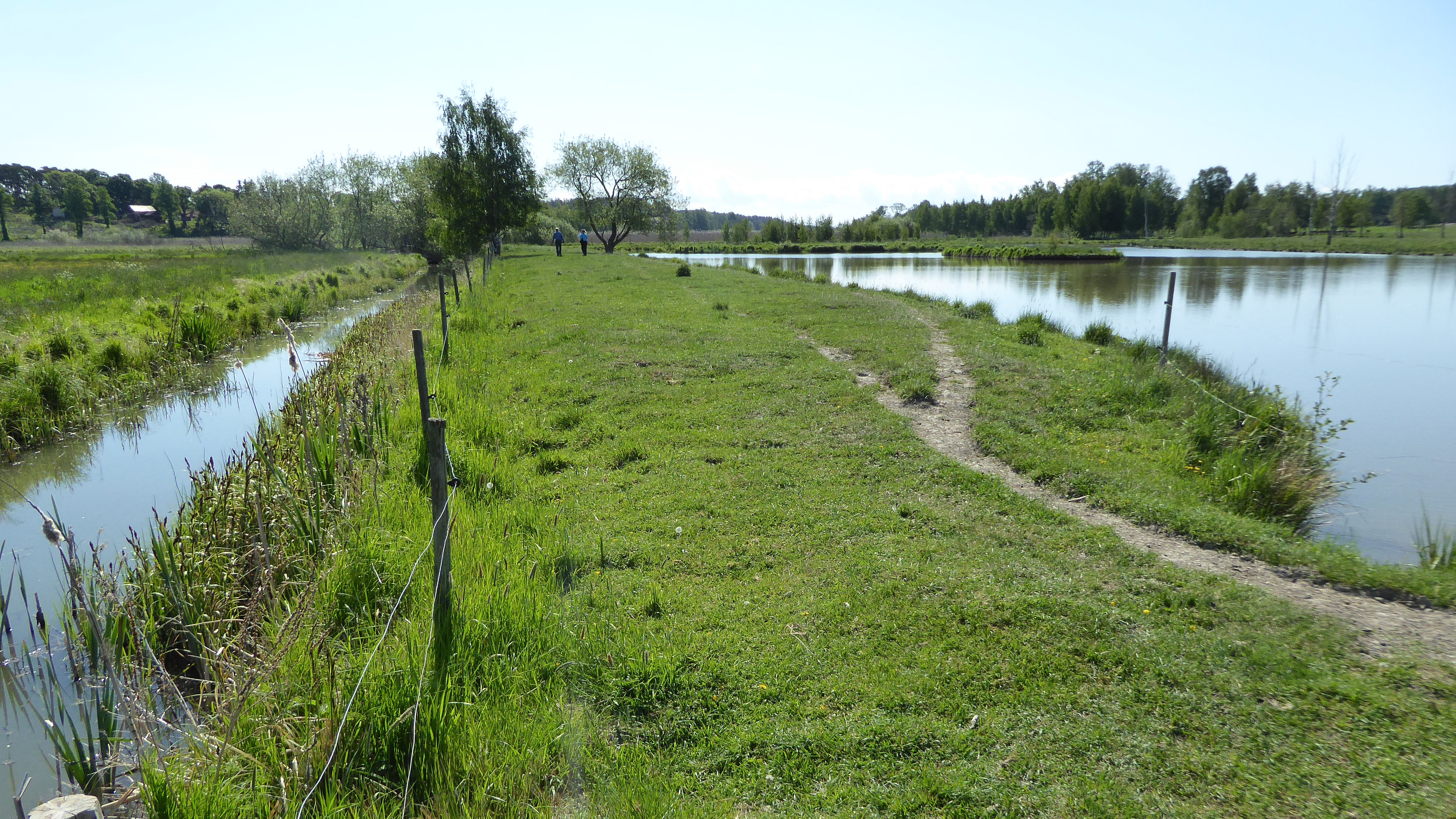 Waterfilled ditch in green landscape. Photo.