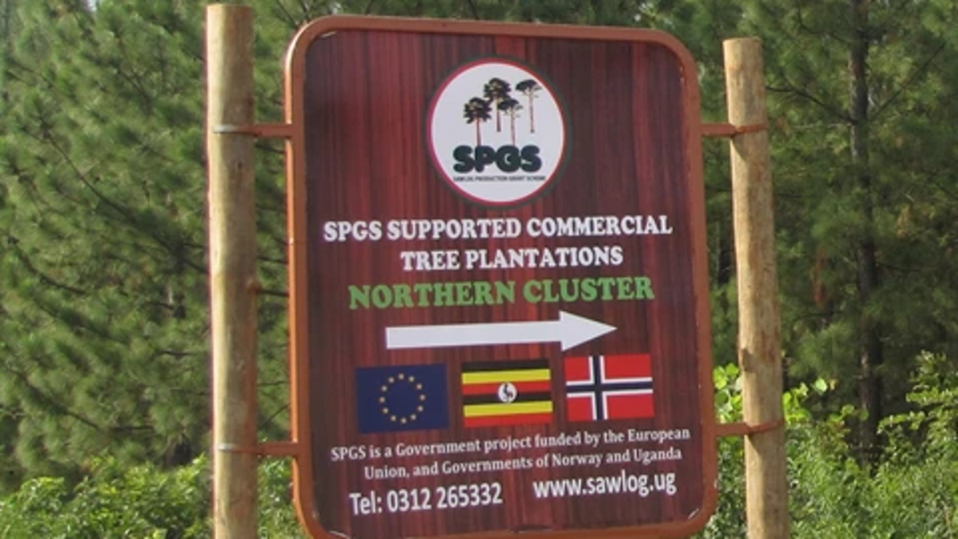 A sign with the text "SPGS supported commercial tree plantations".