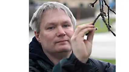 Henrik Böhlenius, senior lecturer in forest management collaboration, examines a branch with budding catkins. He gently holds the branch with one hand and looks at it attentively. The photo is taken outdoors with a blurred background of grass, walkway, and buildings.