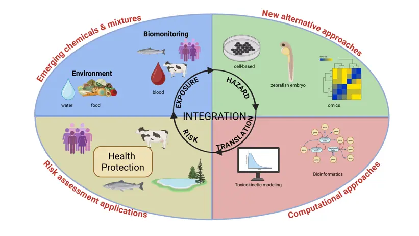 Illustrative image of future areas of development in the field of research.