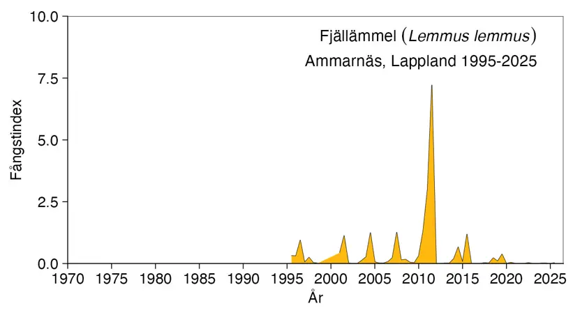 Diagram visar antalet fångade fjällämlar.