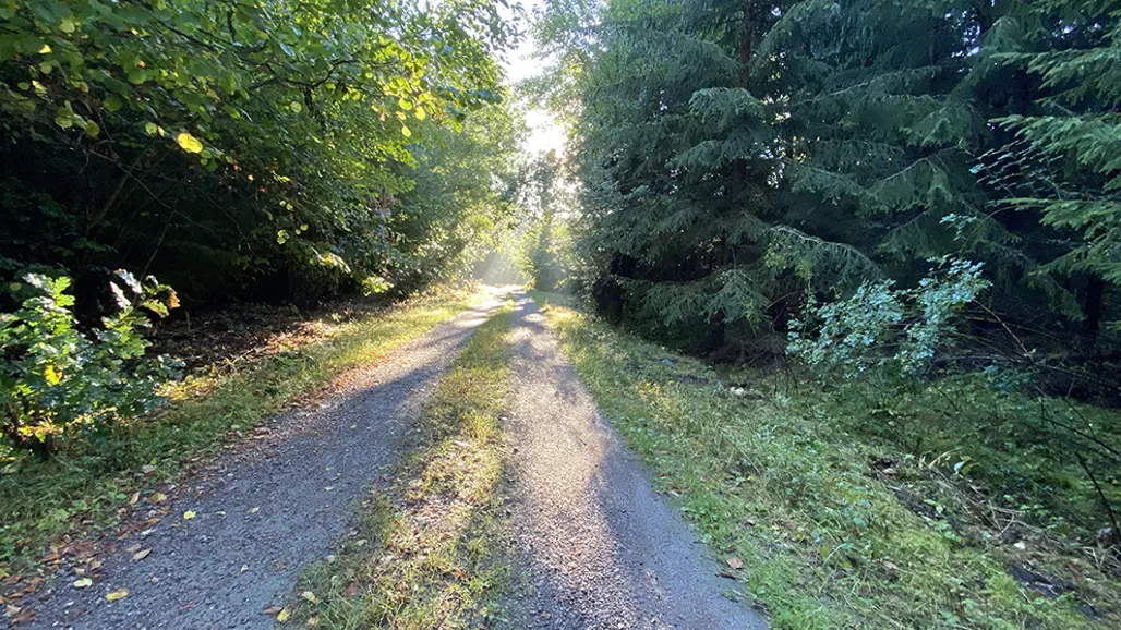 Grusväg. Foto: CNV