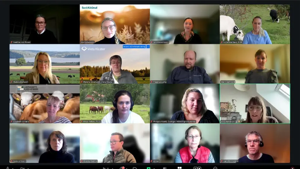 Skärmbild på de 16 deltagarna vid ett Fördjupat samtal i SustAinimal som hölls via Zoom.