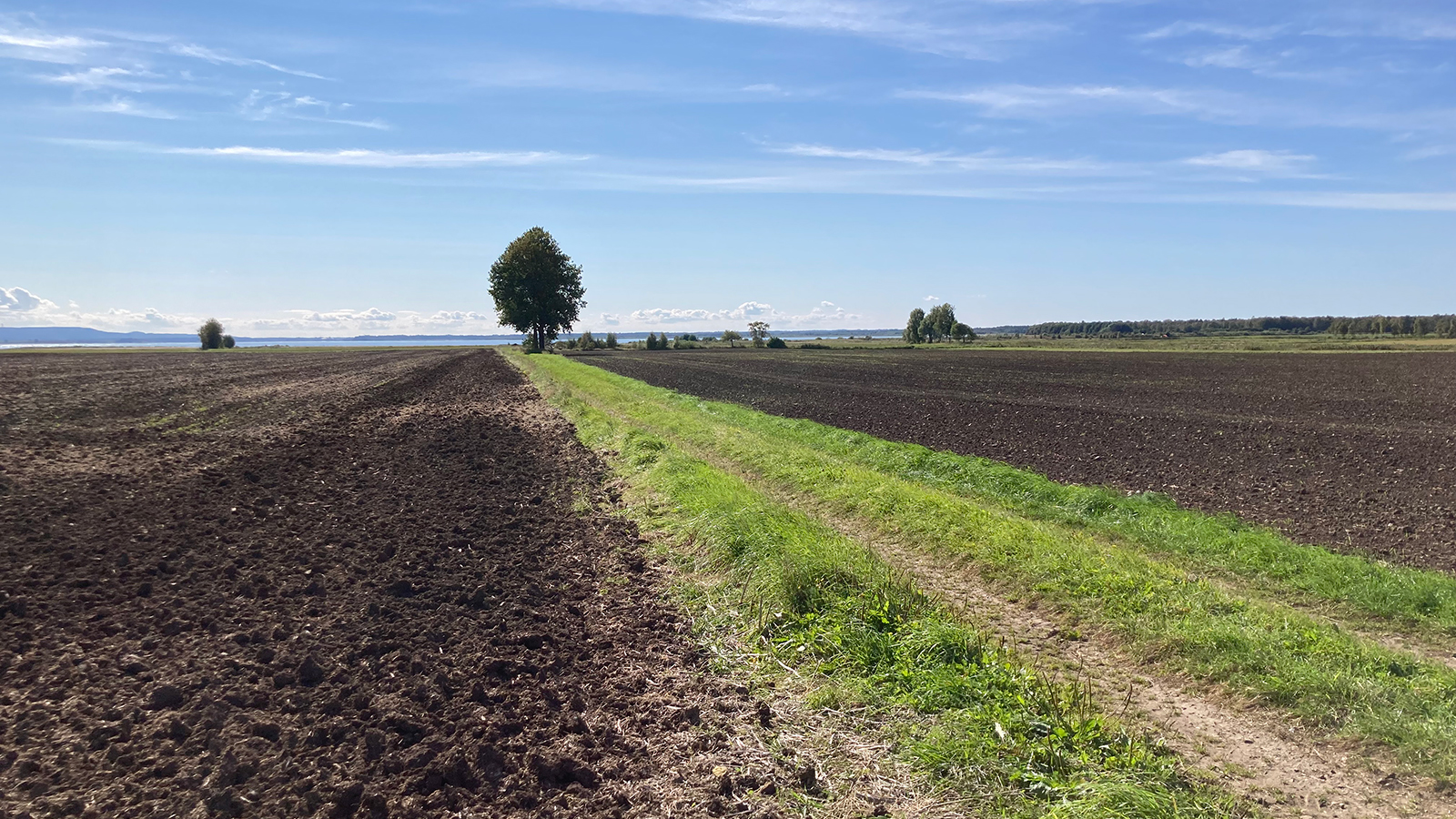 Arable land with water in the background