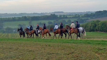 Foto av en grupp hästar med ryttare ute på en åker.