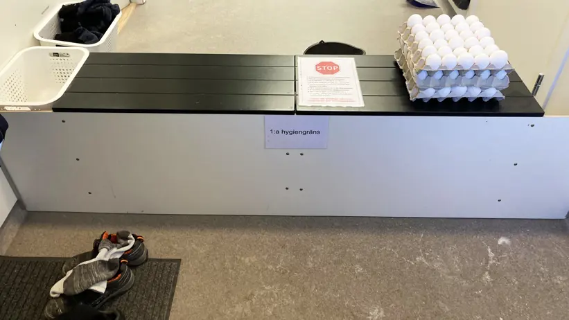 En barriär i en korridor. På barriären ligger bland annat en stoppskylt och ägg. Foto.