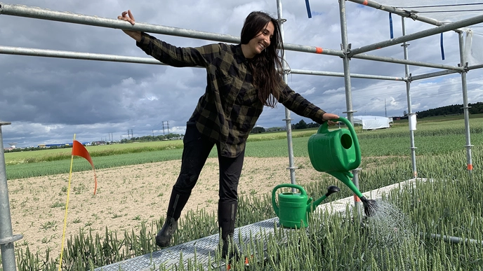 Woman watering a field trial