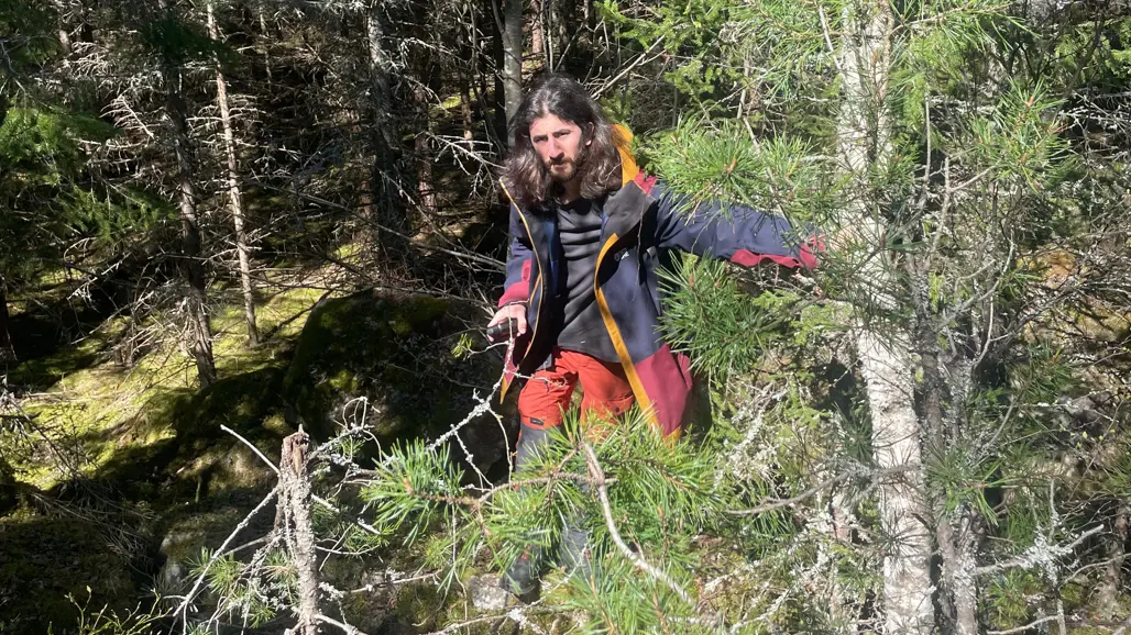 En person står i en tät skog. Personen bär en mörk jacka och röda byxor och verkar ta sig fram genom träden och växtligheten. Skogen består av olika sorters träd, bland annat smala stammar med gröna barr. Solljus silas genom trädkronorna och kastar skuggor på marken som är täckt av mossa och undervegetation. Foto.