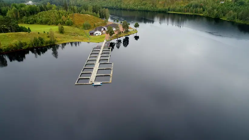 En drönarbild över anläggningen vid Älvdalslax.