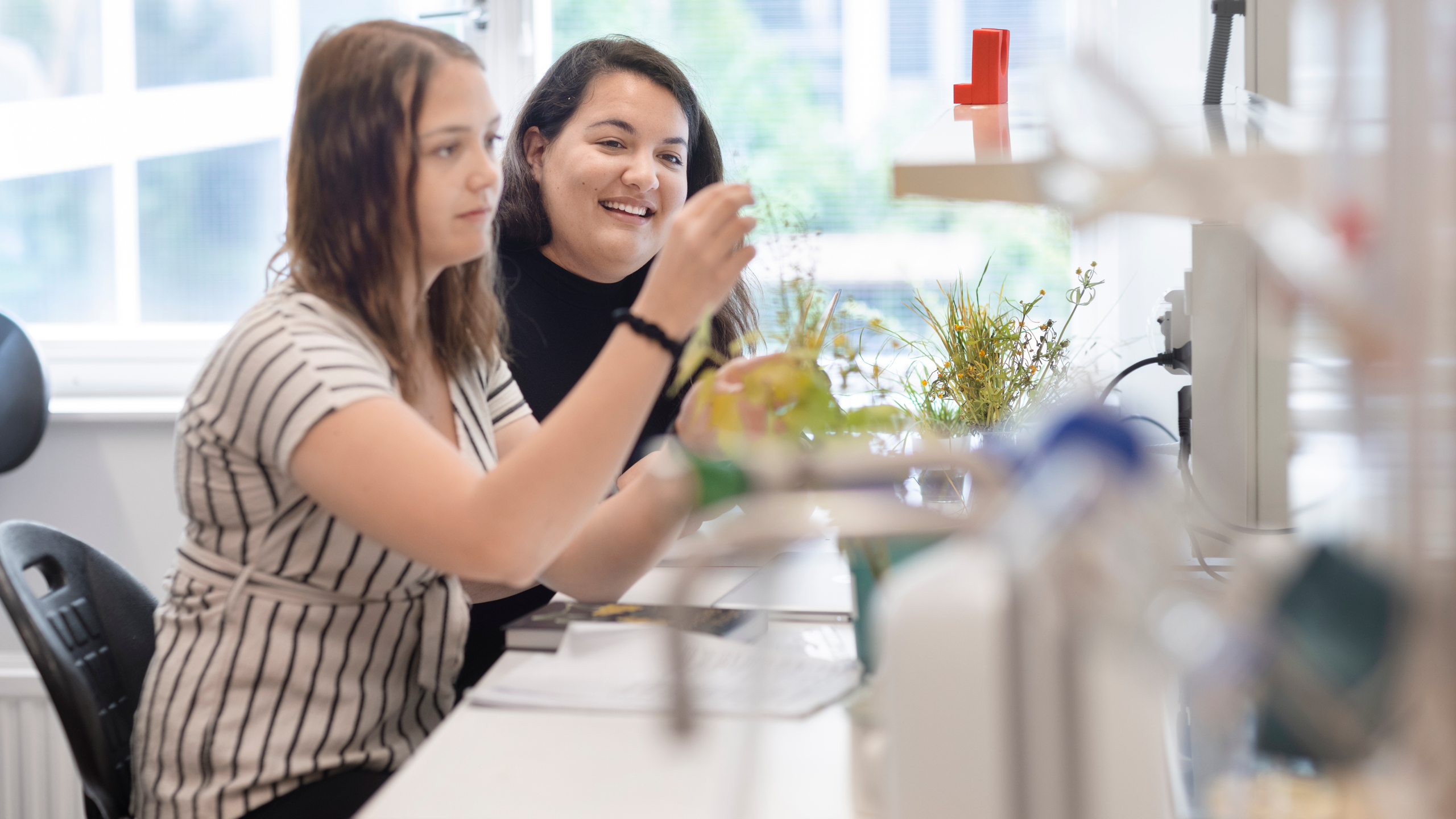 Två unga kvinnor i ett kurslaboratorium studerar en grön planta. Foto: Malin Grönborg.