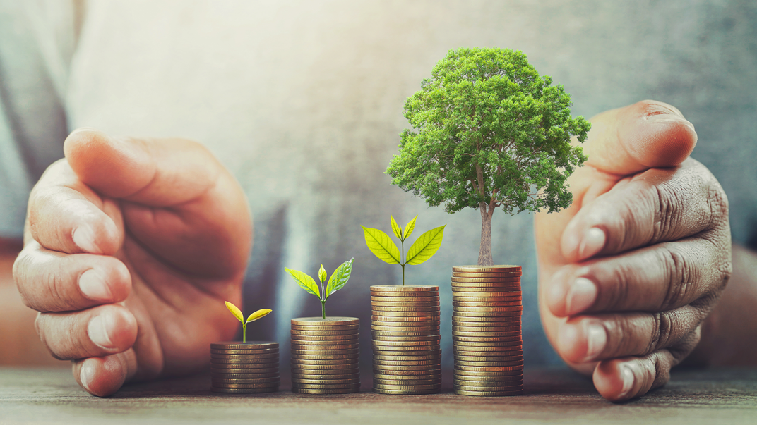 Piles of coins showing economic growth and a plant turning into a tree in stages.